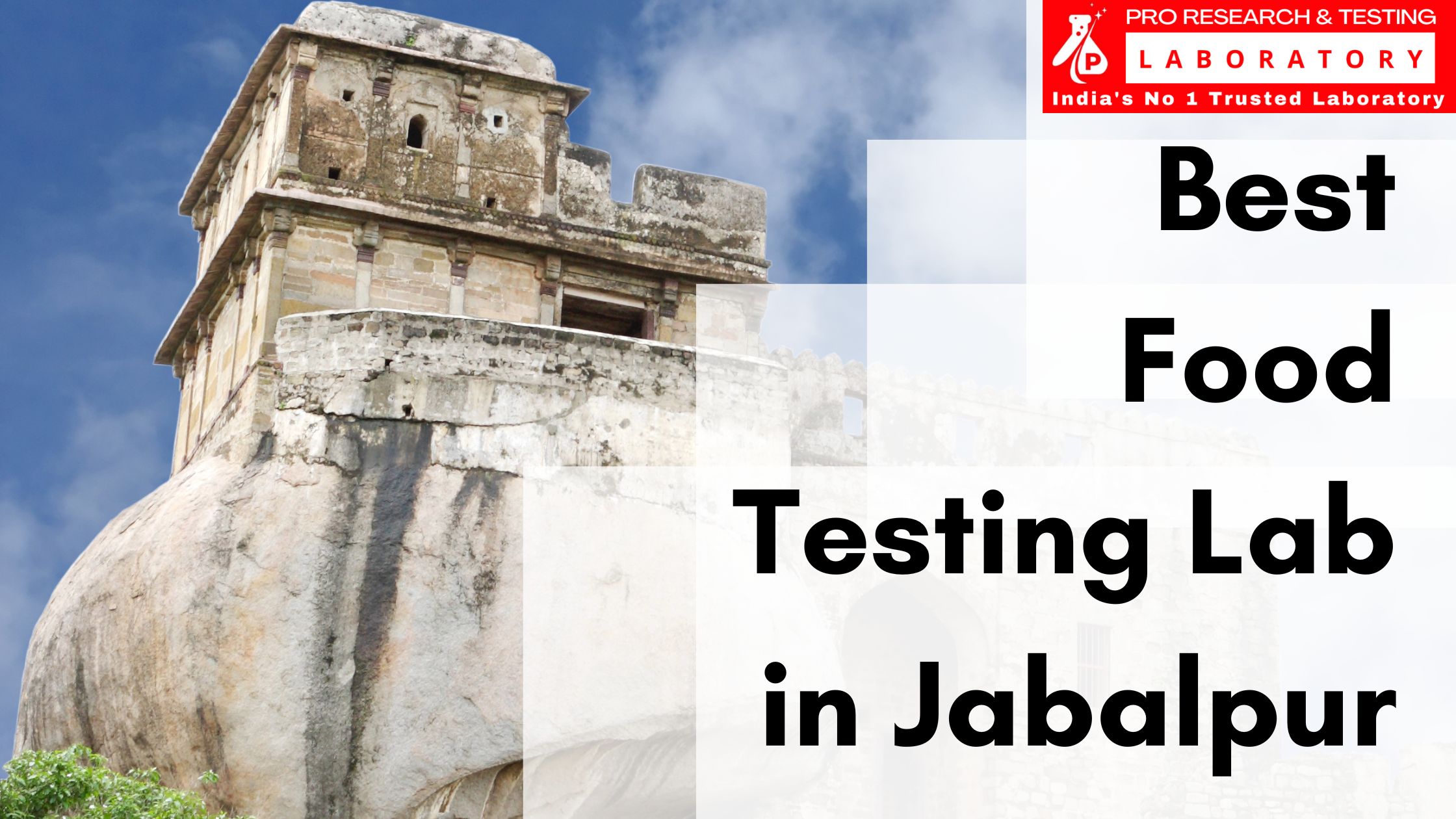 Food Testing Lab in Jabalpur – Pro Research and Testing Laboratory